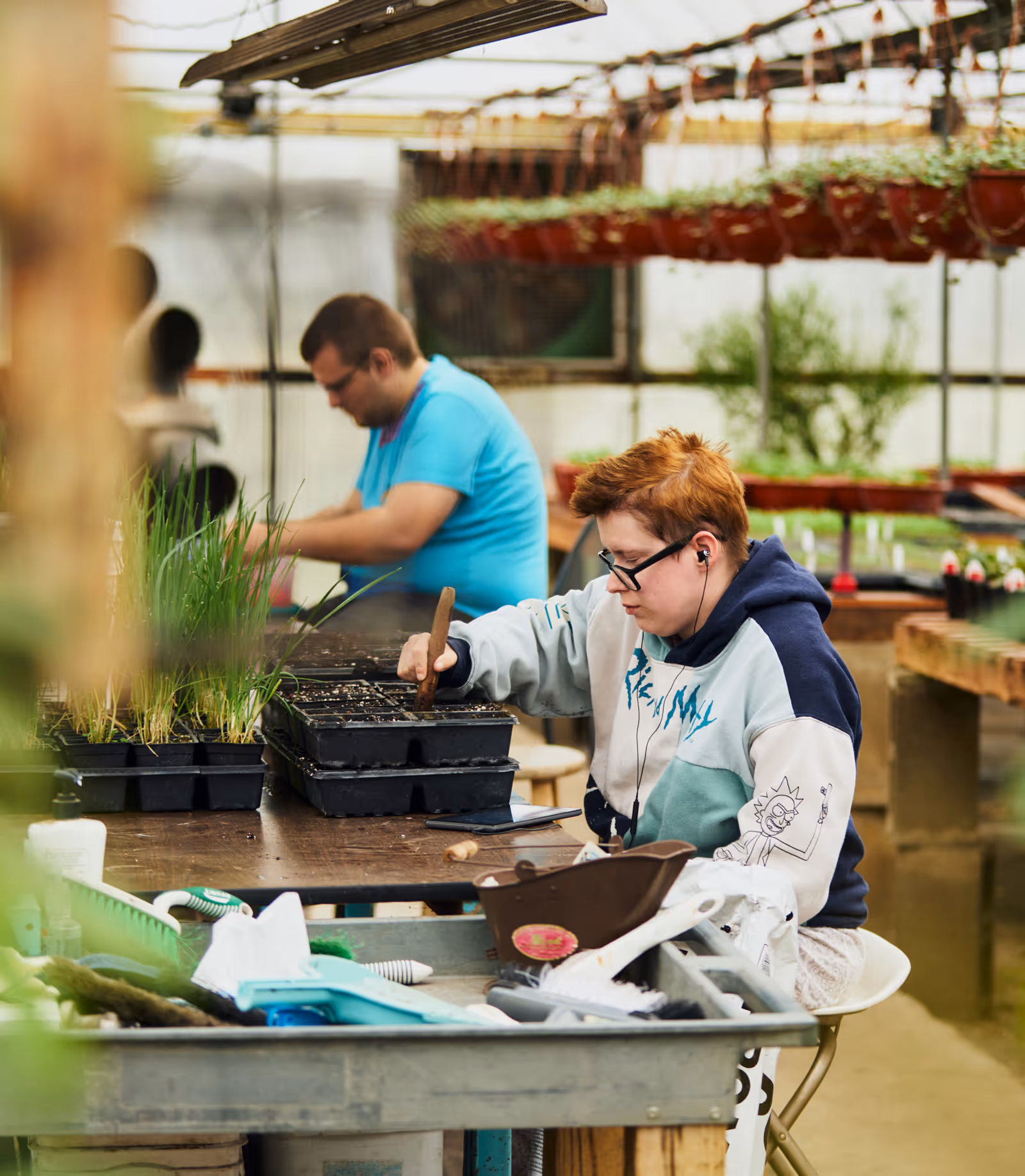 Greenhouse Working