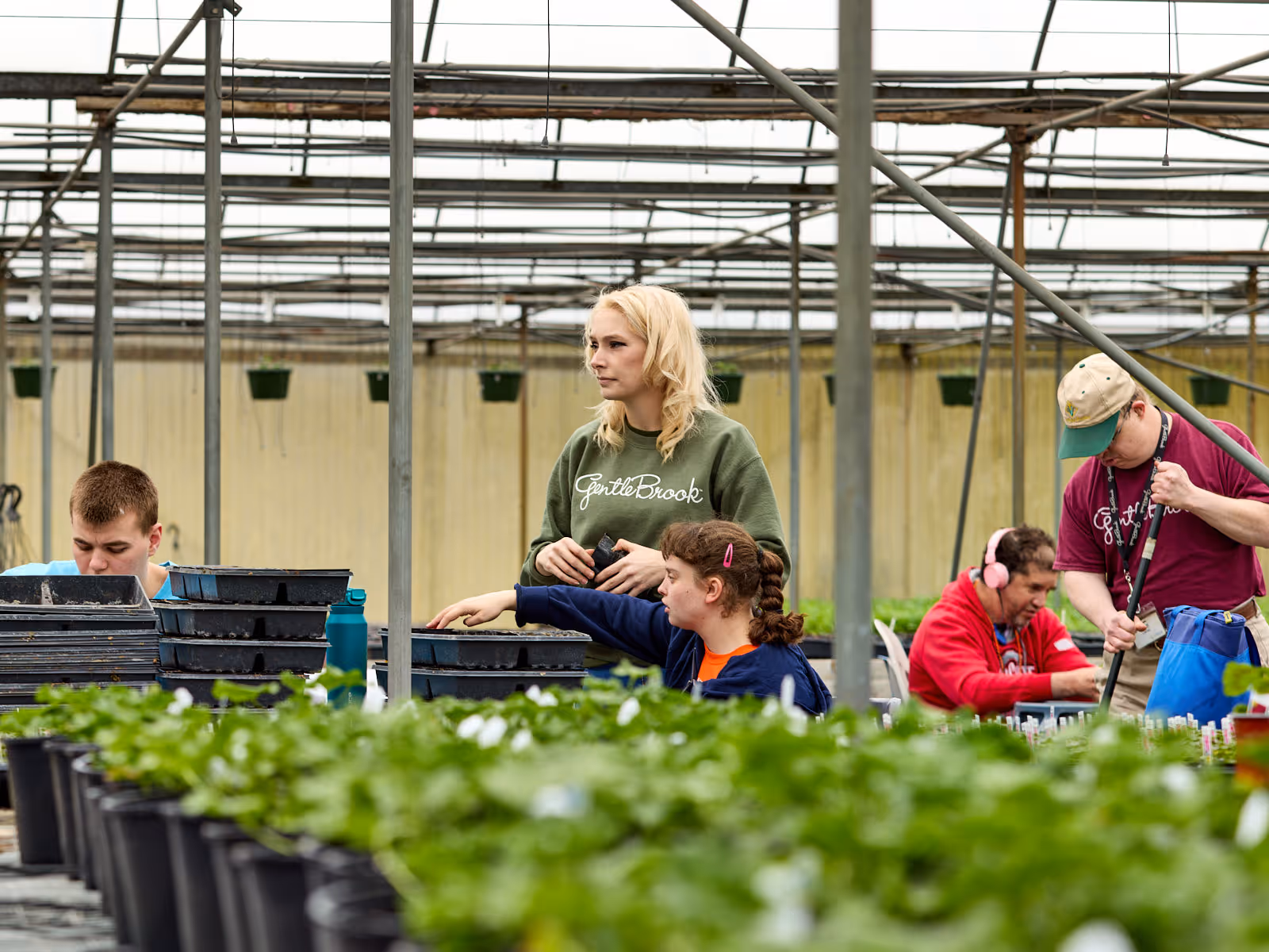 GentleBrook staff member overseeing individuals with developmental disabilities as they engage in hands-on plant care at the Greenhouse and Farm in Hartville, Ohio, promoting therapeutic work and community involvement
