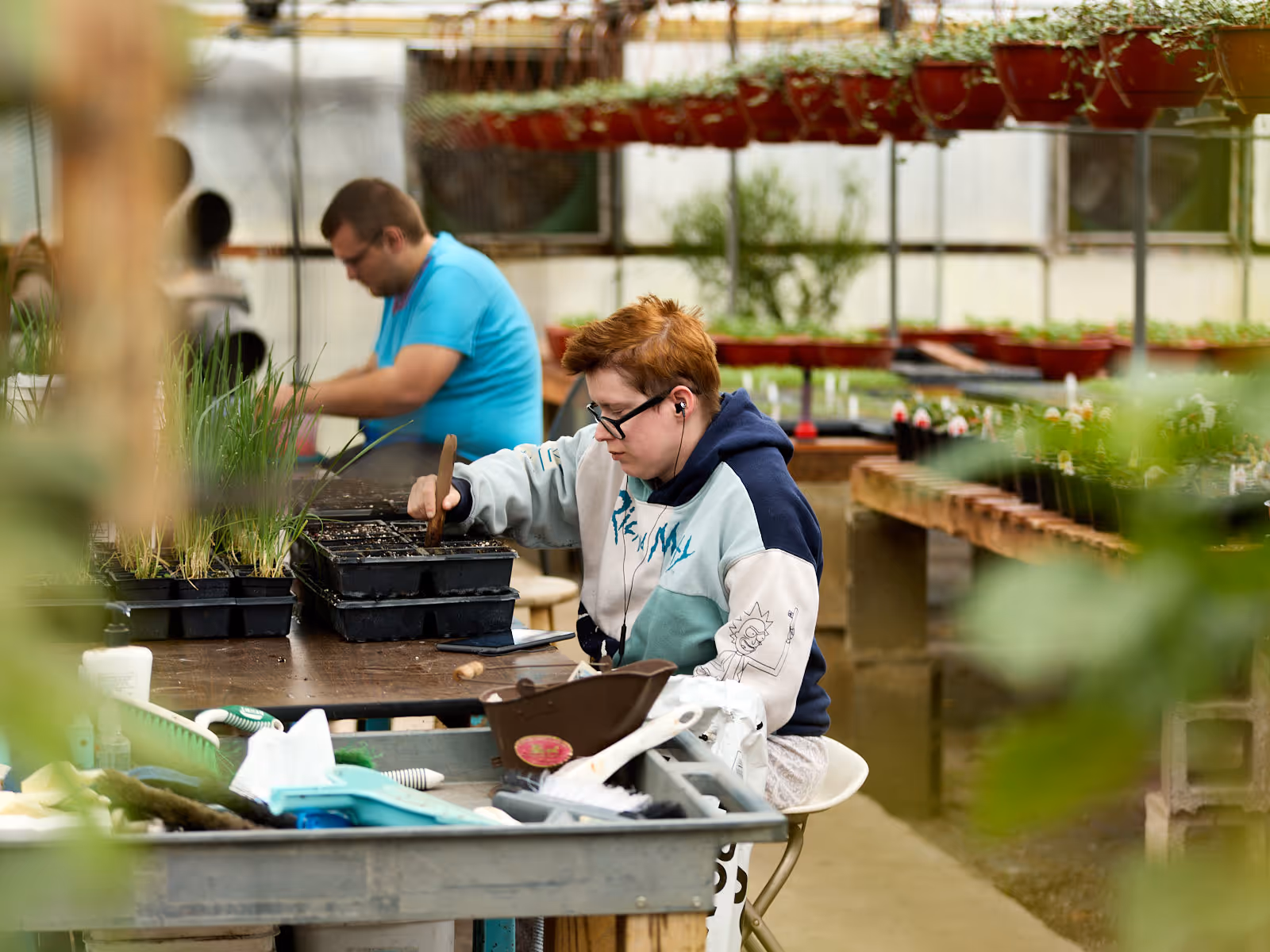 Working in the Greenhouse
