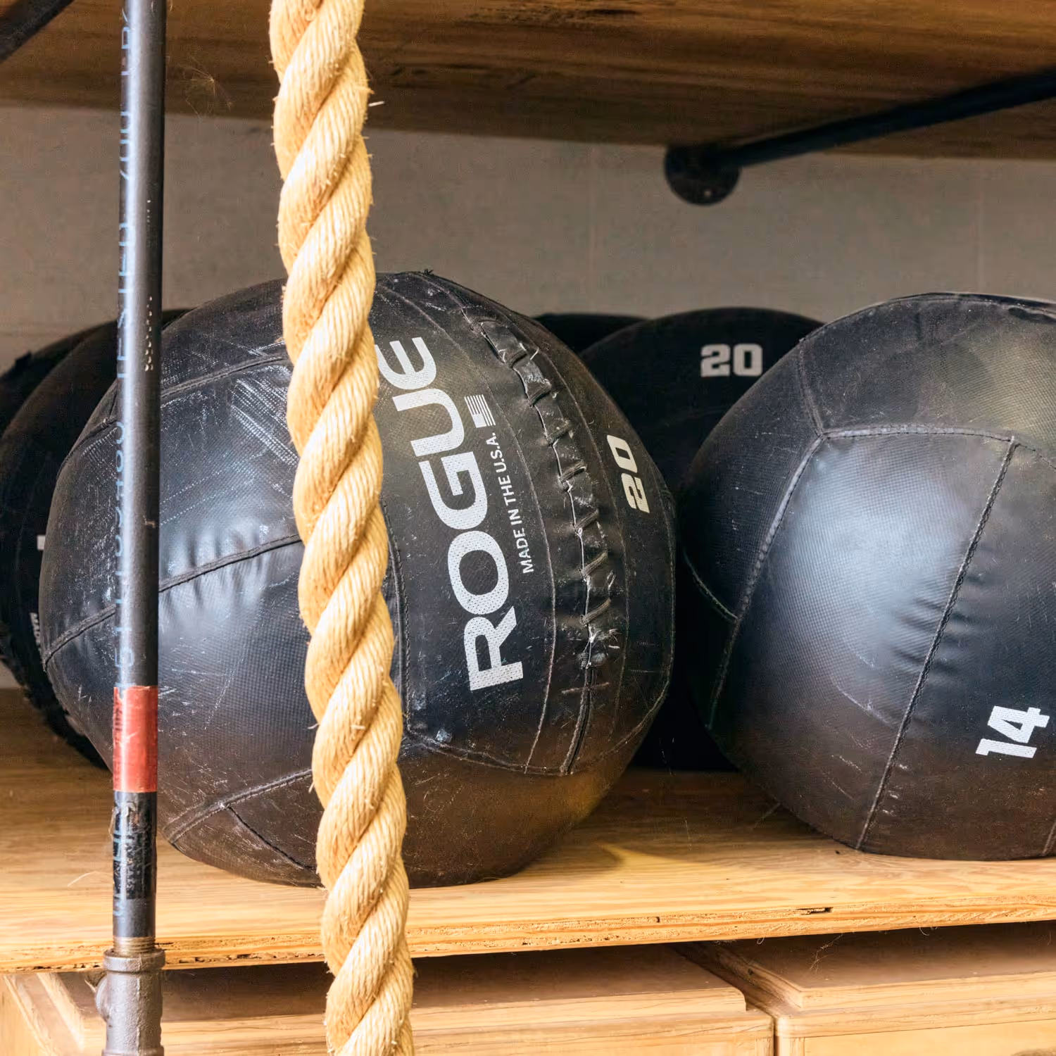 Rogue Workout Medicine Balls